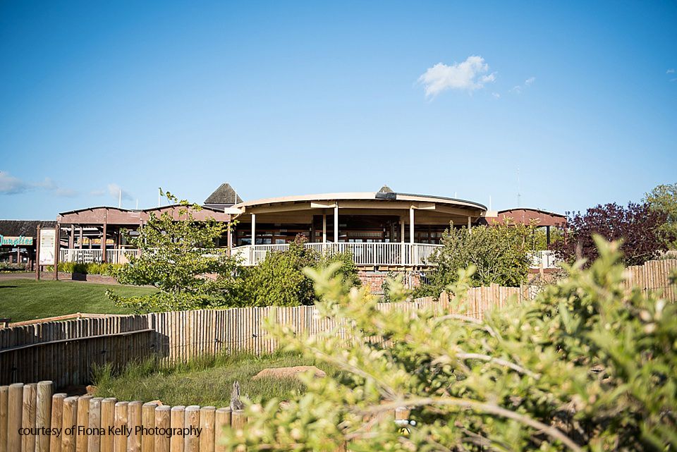 Gallery Item 11 for The Safari Lodge at Woburn Safari Park