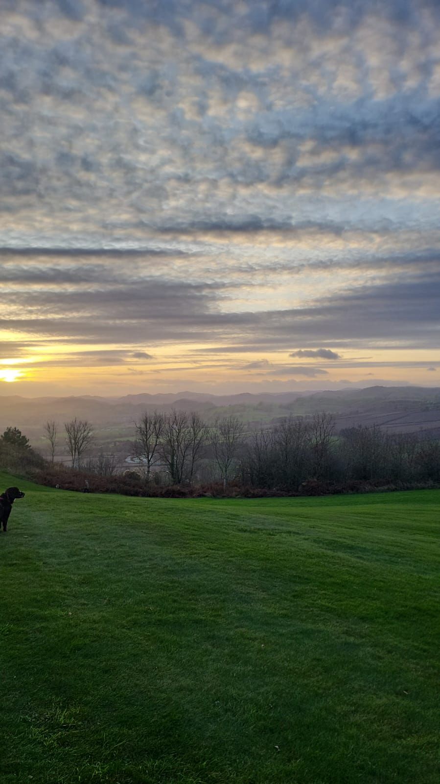 Gallery Item 3 for LLANYMYNECH GOLF CLUB